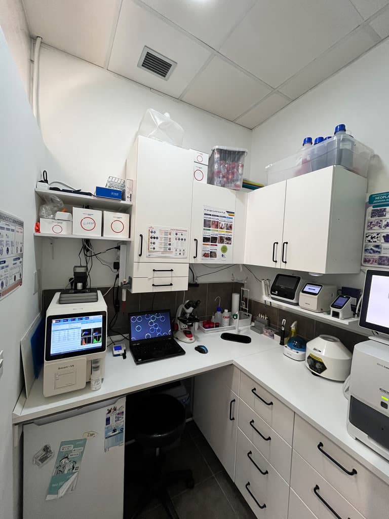 Clínica Veterinaria MCVet